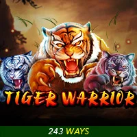 DEMO TIGER WARRIOR